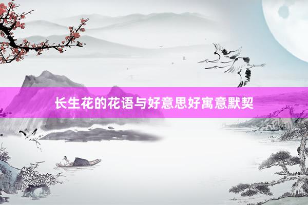 长生花的花语与好意思好寓意默契